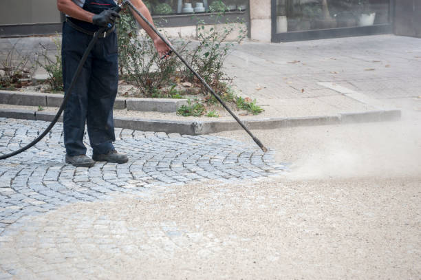 Best Boat and Dock Cleaning  in Oswego, IL
